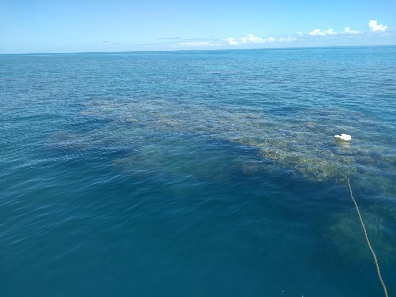 Pousada Das Sereias 卡拉韦拉斯 外观 照片